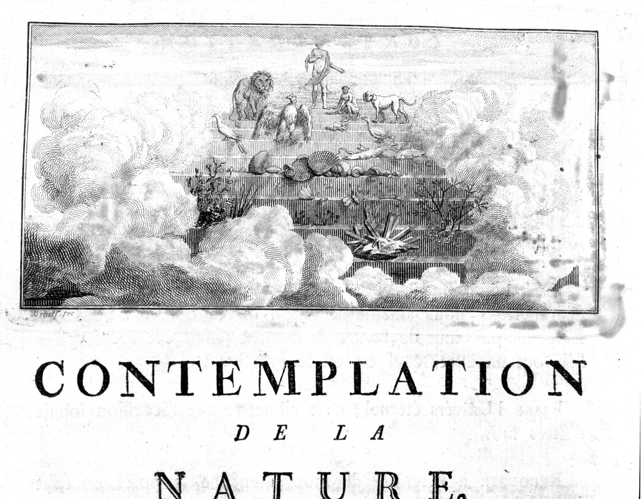Allegorisk representation av utvecklingen av människan av mineraler, som passerar genom växt- och djurarter Charles Bonnet, Betraktelse av naturen, Neuchatel av Unknown artist