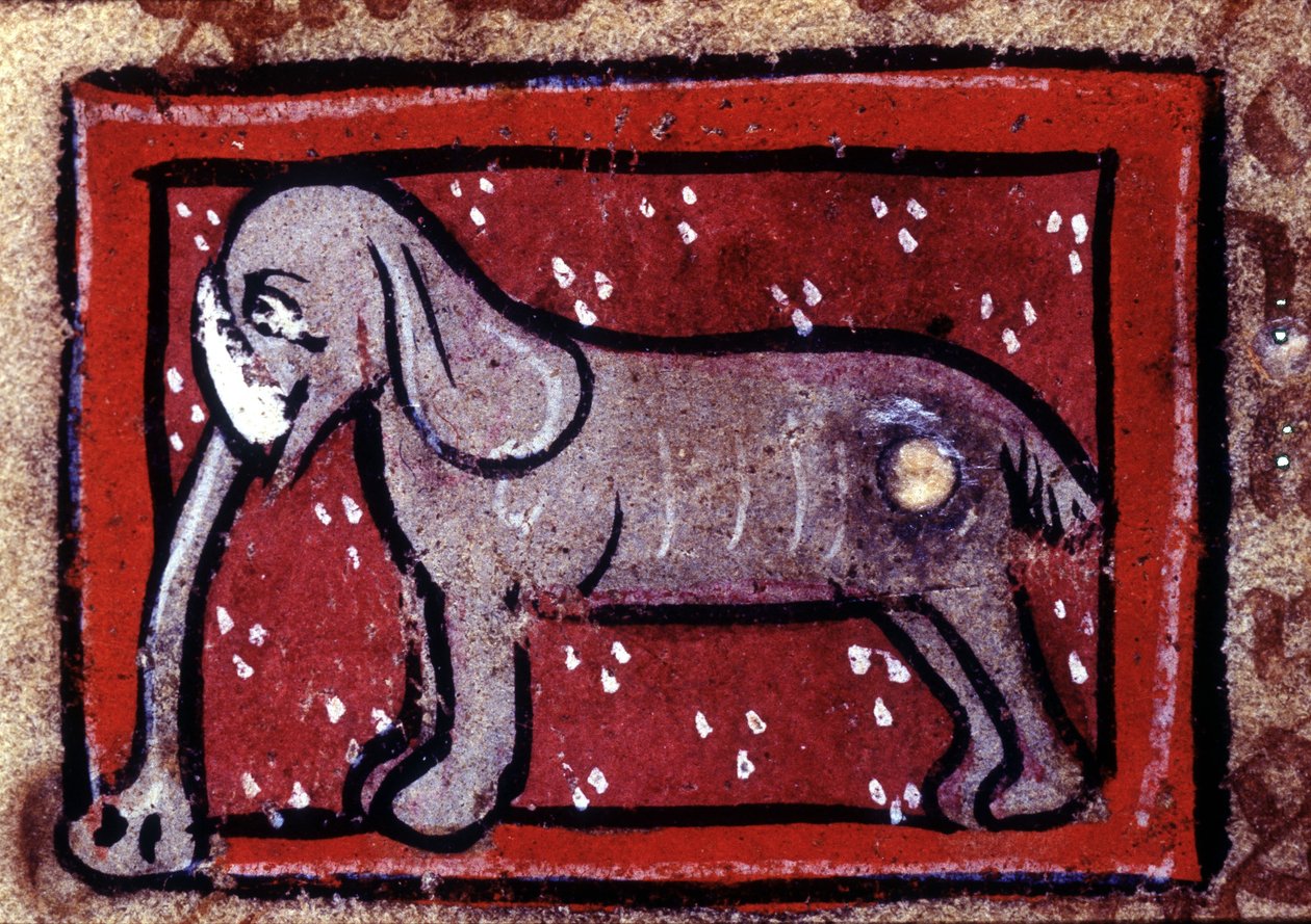 En elefant - bestiarium från 1300-talet. Milano, Biblioteca Trivulziana. av Unknown artist