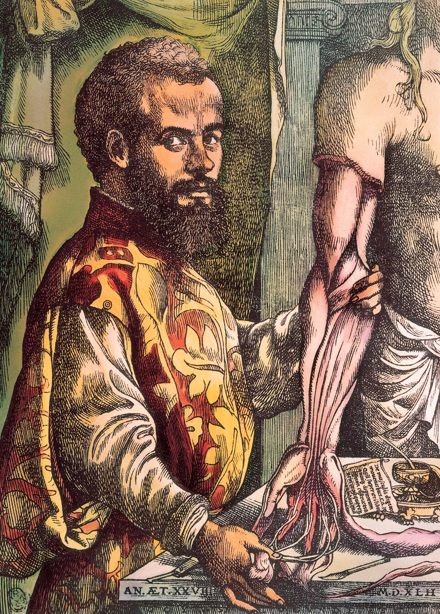 Andreas Vesalius (gravyr av Unknown artist