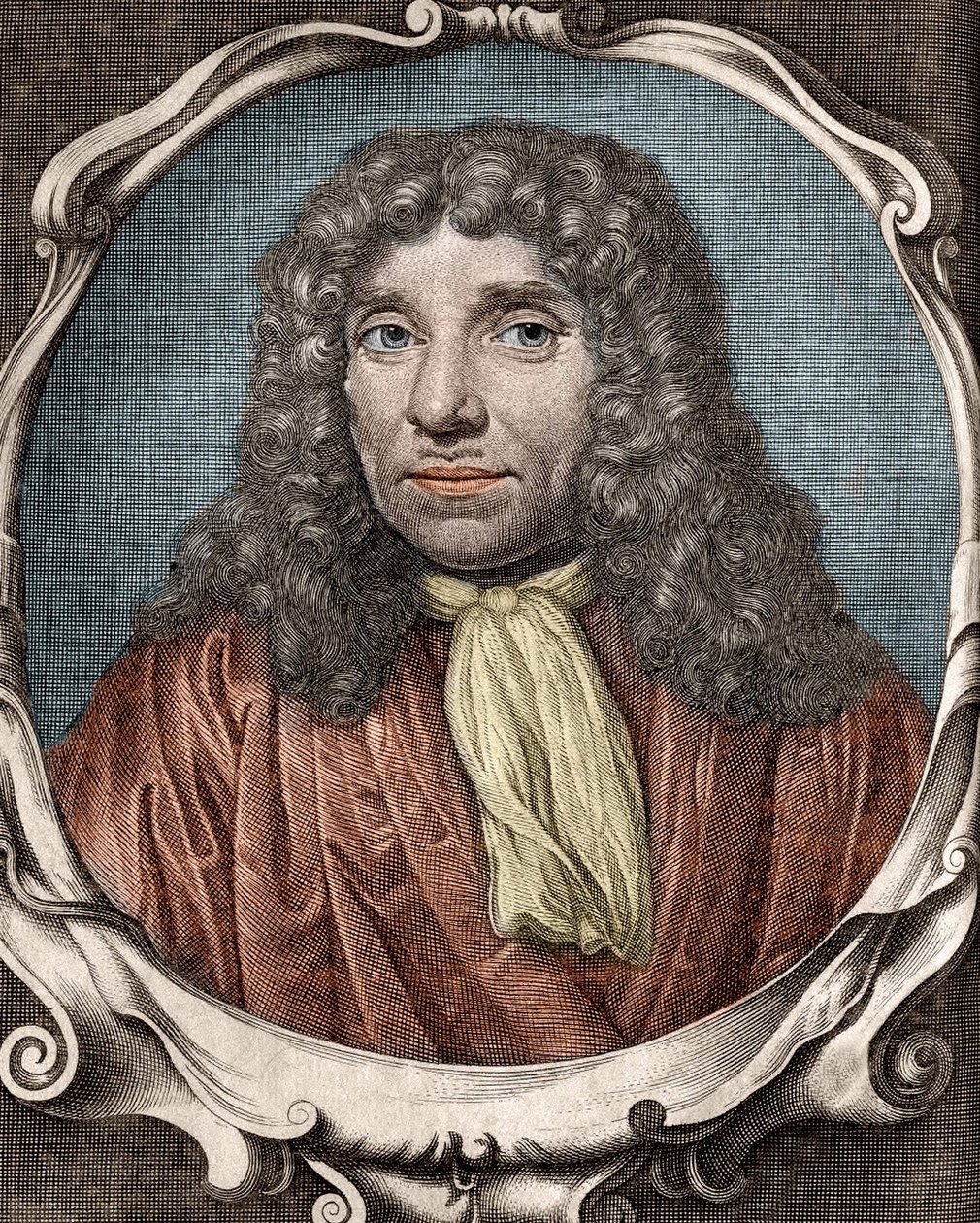 Anthony Van Leeuwenhoek eller Anton van Leeuwenhoek, eller Leeuwenhoek, eller Leeuwenhoeck. Holländsk naturforskare (1632 till 1723). 1700-talsgravyr av Unknown artist