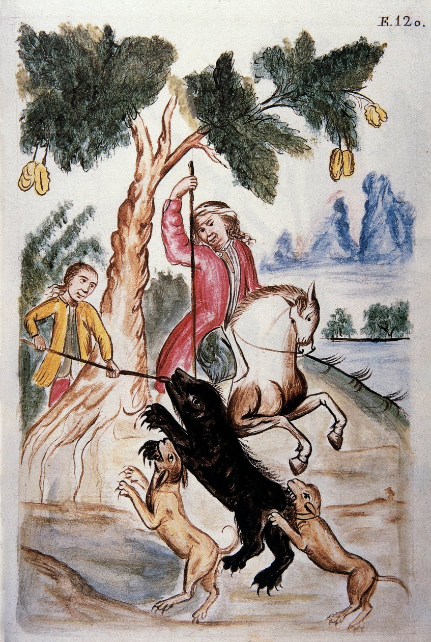 Björnjakt, från boken "Trujillo of Peru" eller "Codex Martinez Companion", av Balthazar Martinez Companion och Bujanda, biskop av Trujillo (1782-1785) av Unknown artist