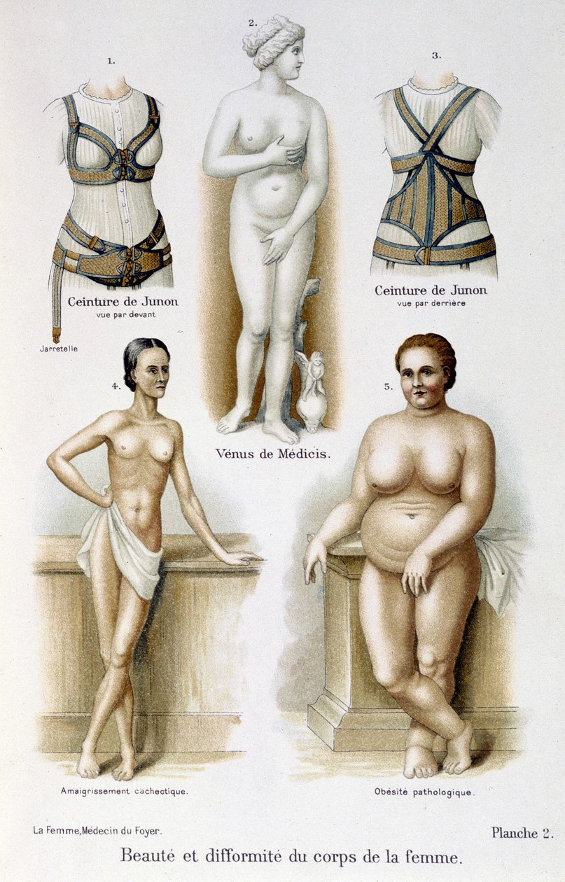 Skönhet och deformitet av kvinnans kropp (mager och fetma); Junos bälten - i "The woman, home doctor"" av Unknown artist