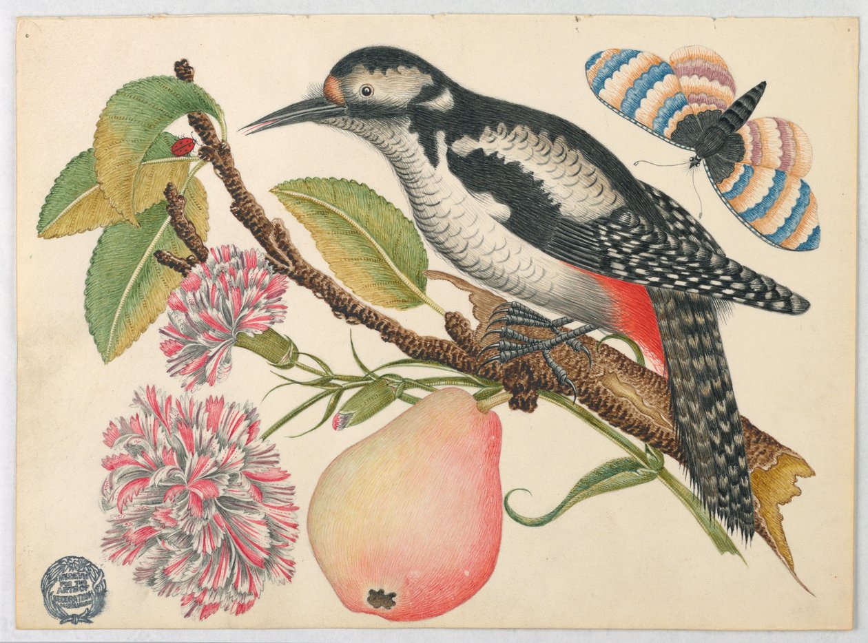 Fågel, fjäril och päron av Unknown artist
