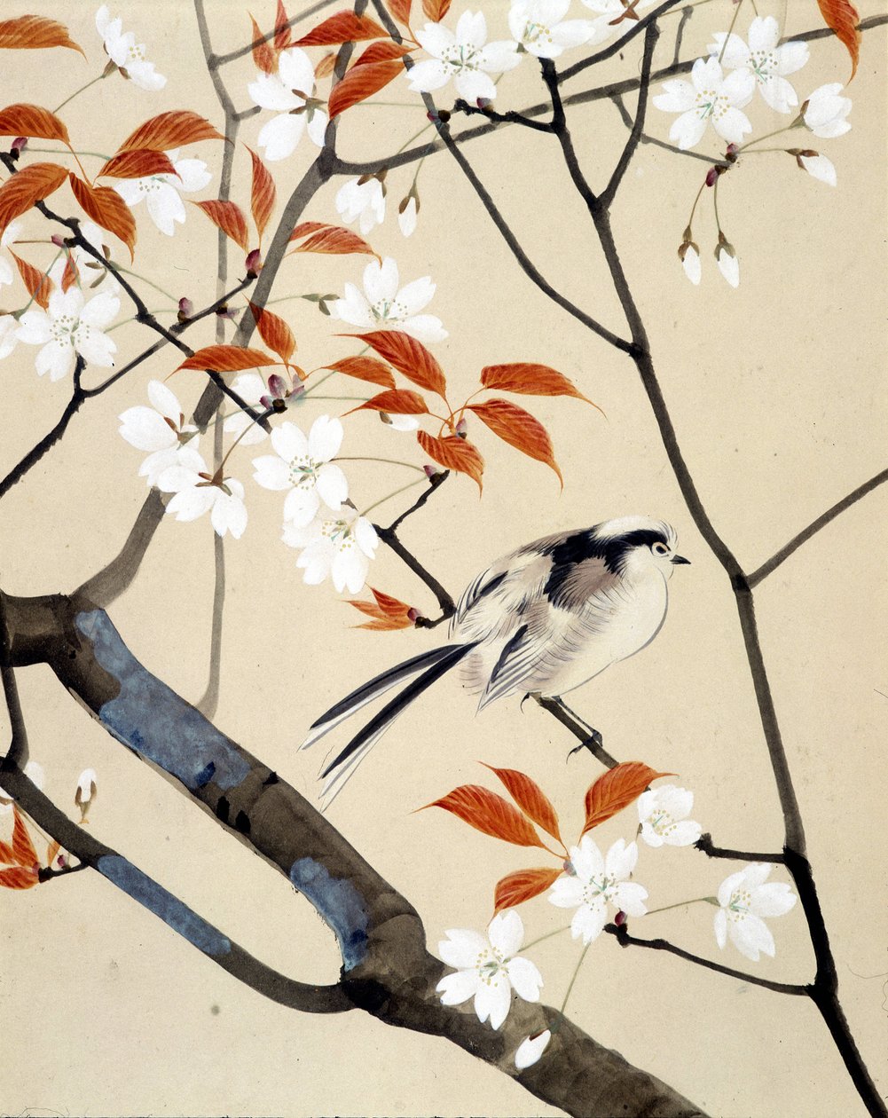 Fågel- och körsbärsträd i blom - japansk teckning av Riou Chim, sent 1800-tal av Unknown artist