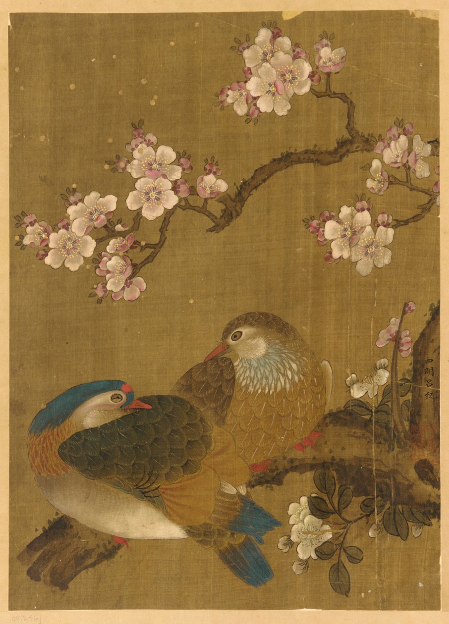 Fåglar och plommonblommor av Unknown artist