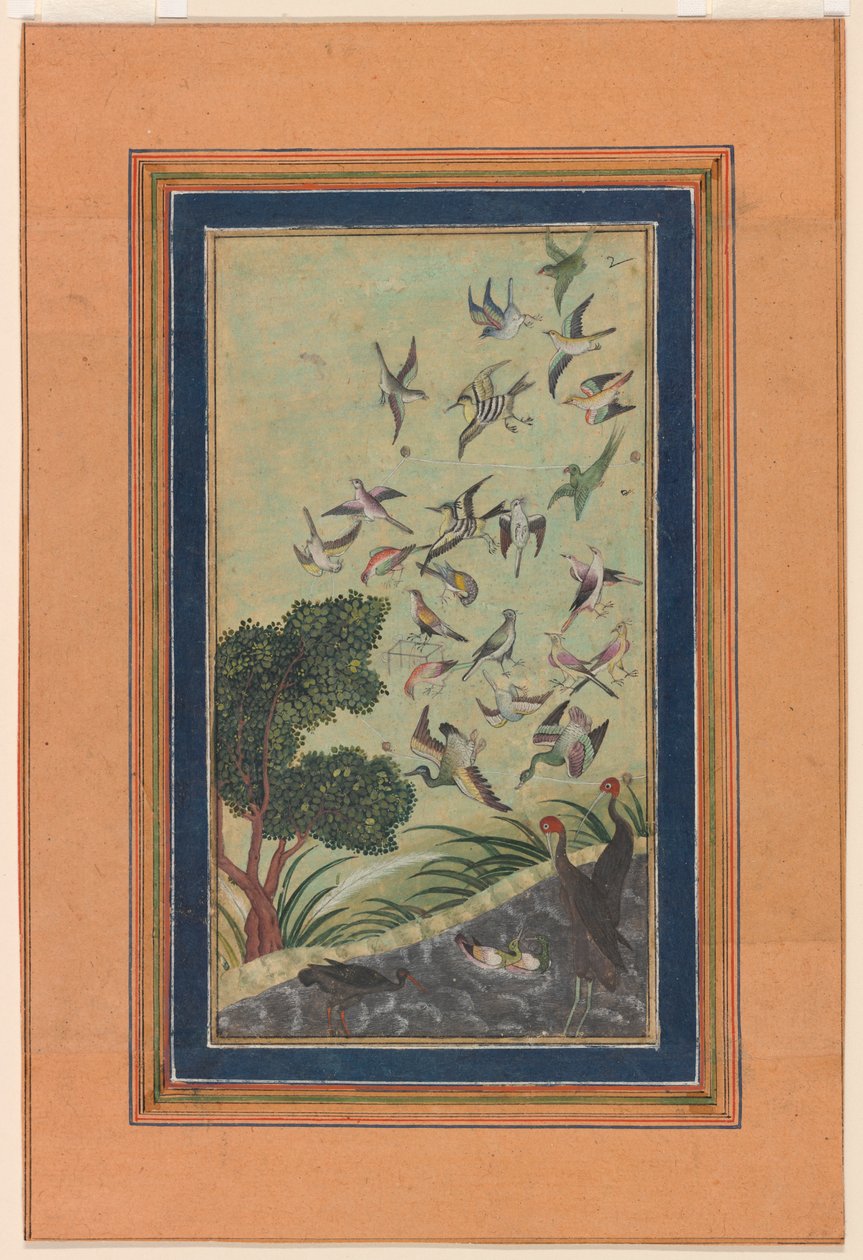 Fåglar vid Baran, möjligen från Babur-nama av Unknown artist