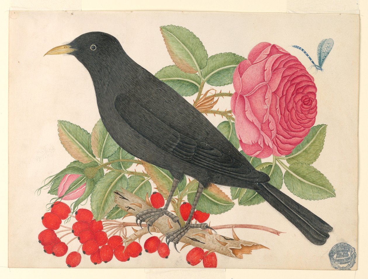 Svart fågel med rosor av Unknown artist