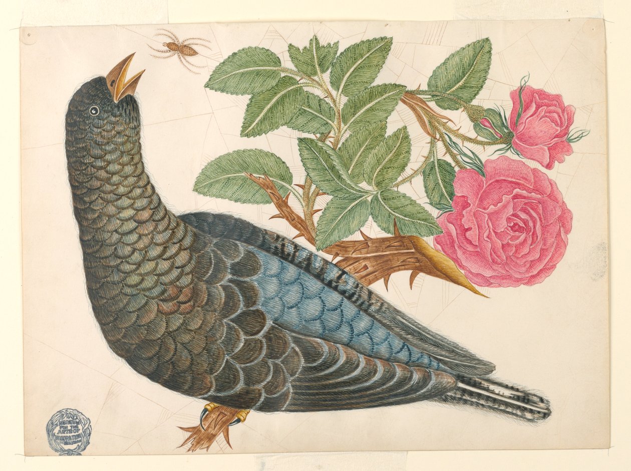 Blå-svart fågel på rosgren med spindel av Unknown artist