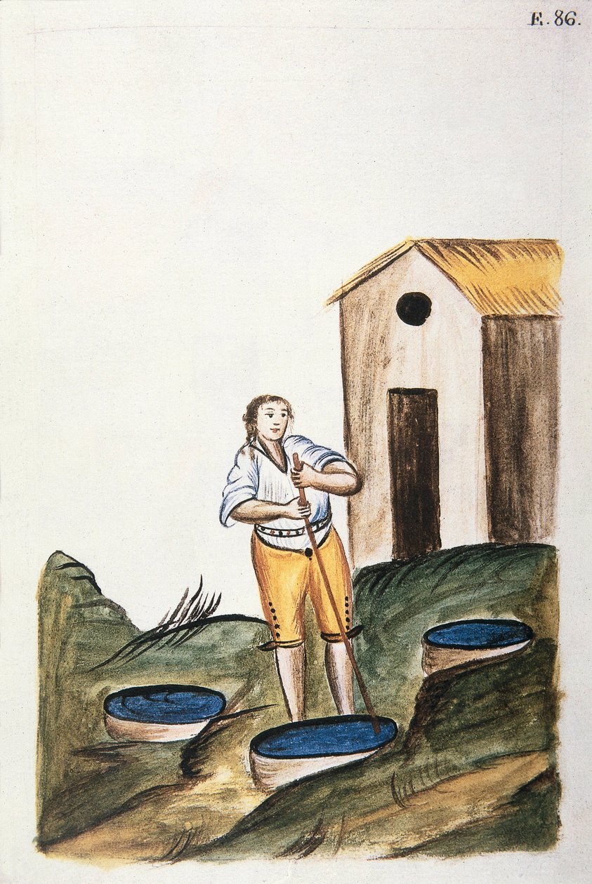 Blå färgbricka som används för att färga ull, från boken "Trujillo of Peru" eller "Codex Martinez Companion", av Baltazar Martinez Companion och Bujanda, biskop av Trujillo (1782-1785) av Unknown artist