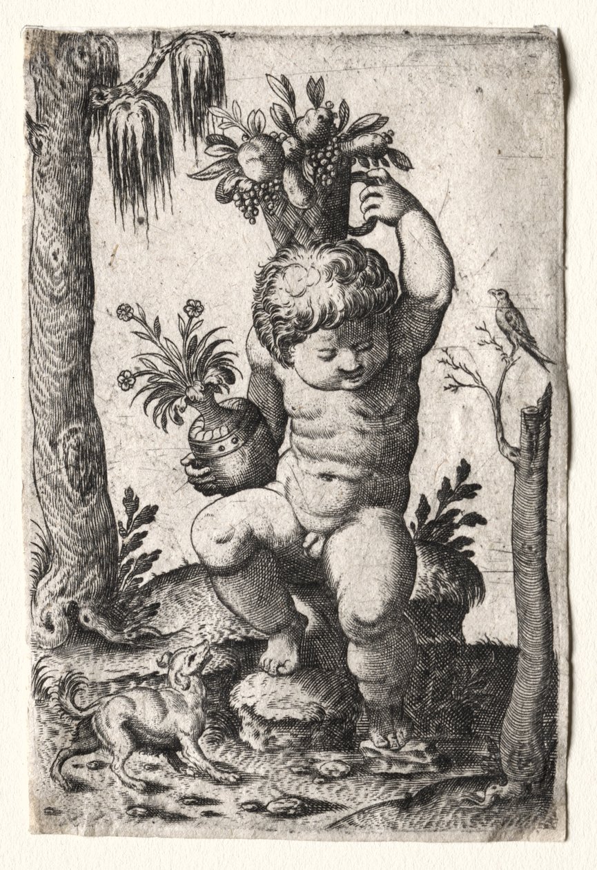 Pojke med fruktkorg av Unknown artist