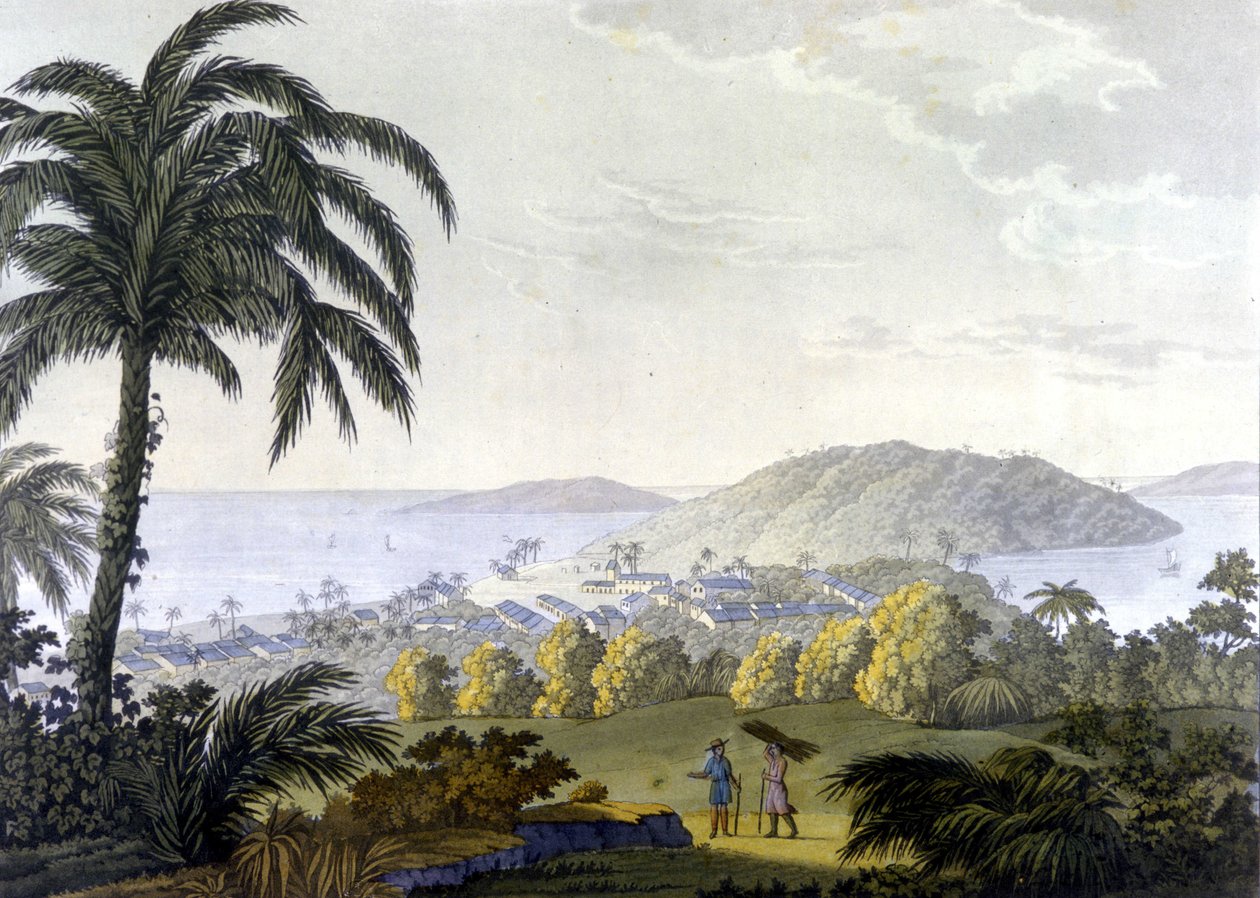 Brasilien, utsikt över staden Ilheus i delstaten Bahia av Unknown artist