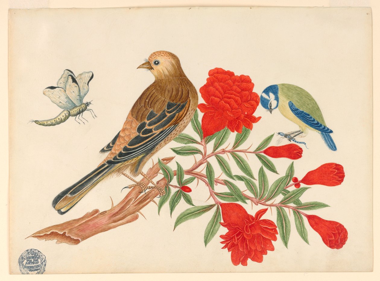 Brun-svart fågel och blå-gul fågel på gren med röda blommor, jaktinsekter av Unknown artist