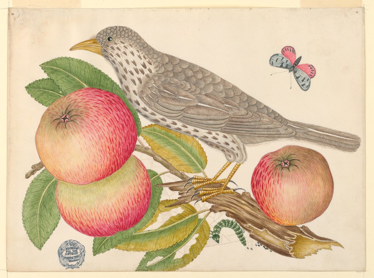 Brun fågel på äppelgren, med larv av Unknown artist
