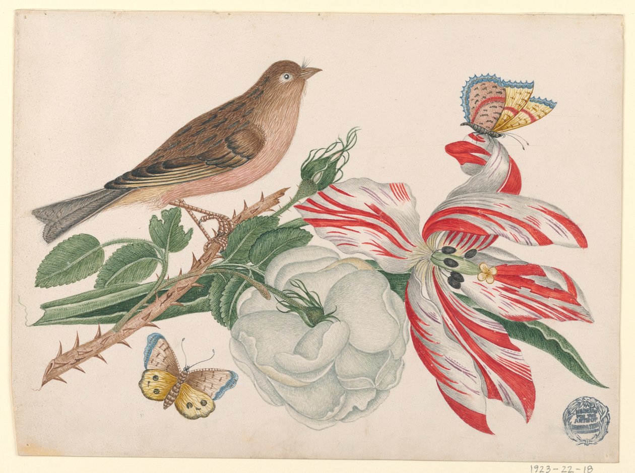 Brun fågel på gren med ros, tulpan och insekter av Unknown artist