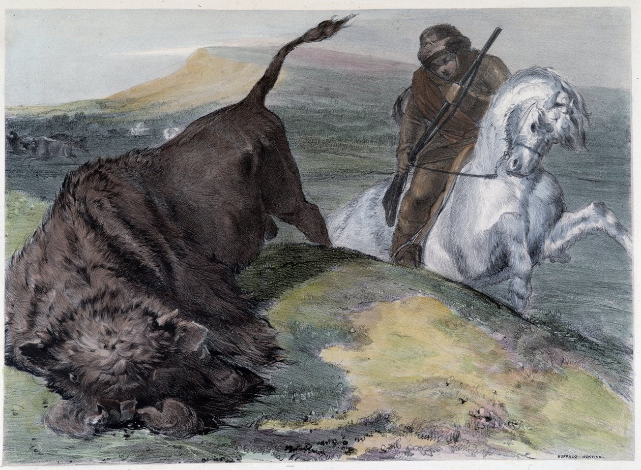 Kanadensaren Huron Buffalo Hunt - i "" Shyths sketcher in the Canadas"" av Coke Smyth, London av Unknown artist