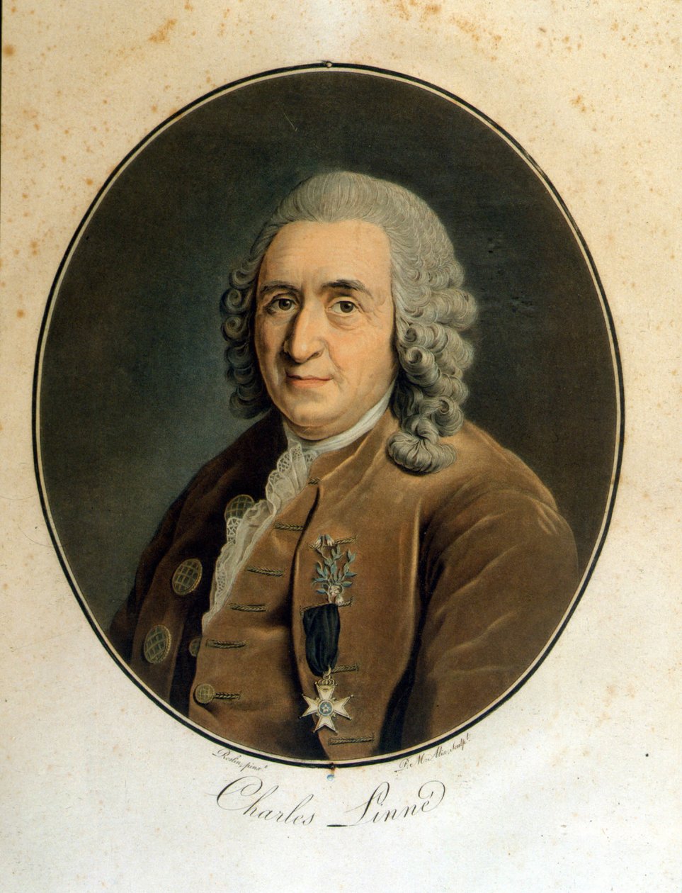 Carl Von Linné svensk naturforskare och författare (1707 - 1778) av Unknown artist