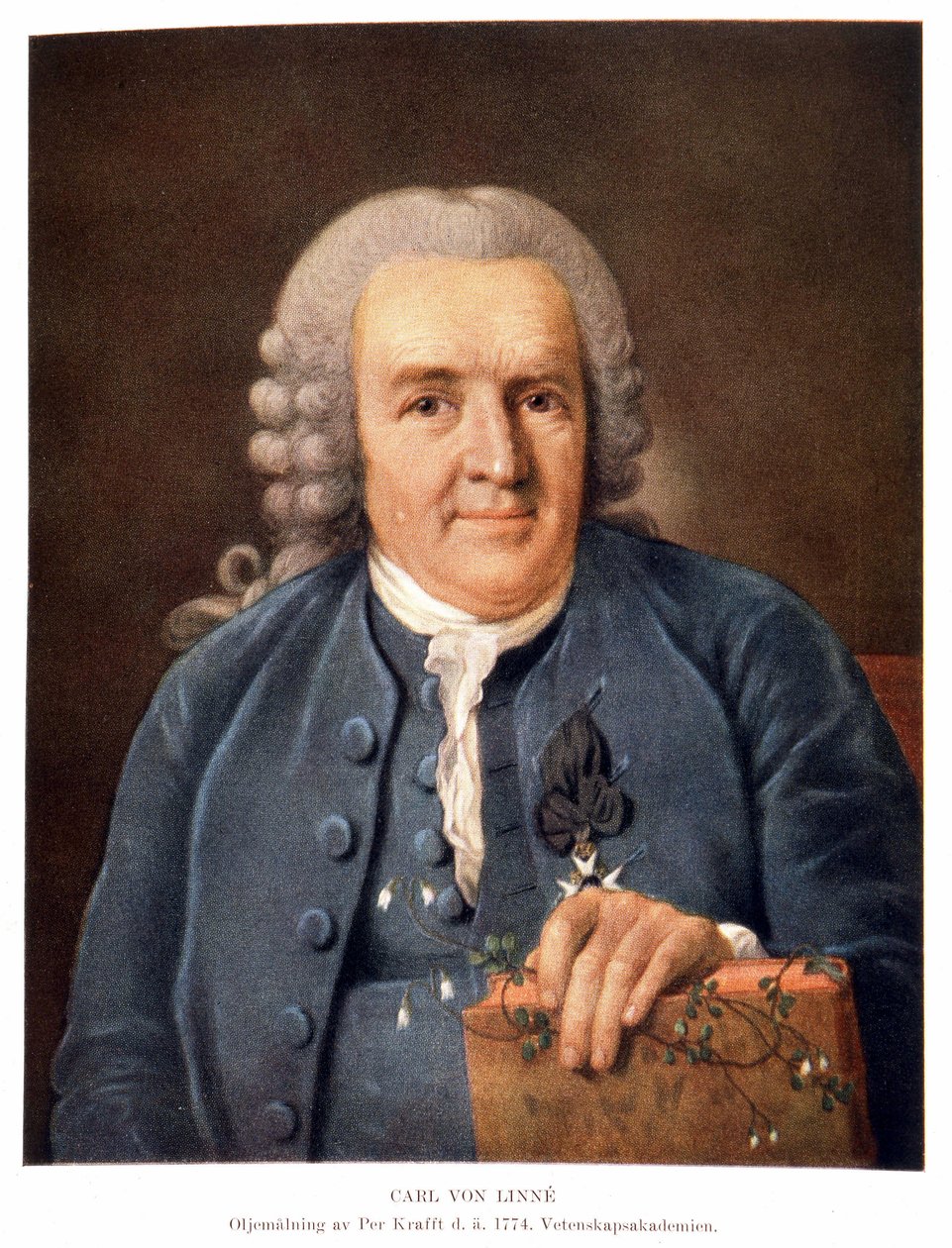 Carl Von Linné svensk naturforskare och författare av Unknown artist
