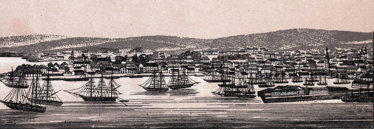 Christiania, Danmark: utsikt över staden (allmän översikt). i "" Världen illustrerar 168 vyer"" Odaterat (slutet av 1800-talet) av Unknown artist