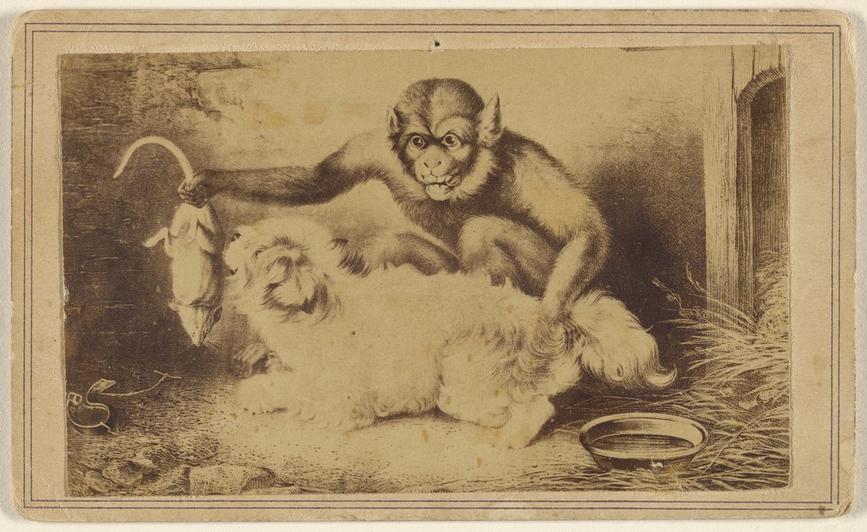 [Kopia av en målning som föreställer en apa som håller en råtta i svansen framför en liten vit hund] av Unknown artist