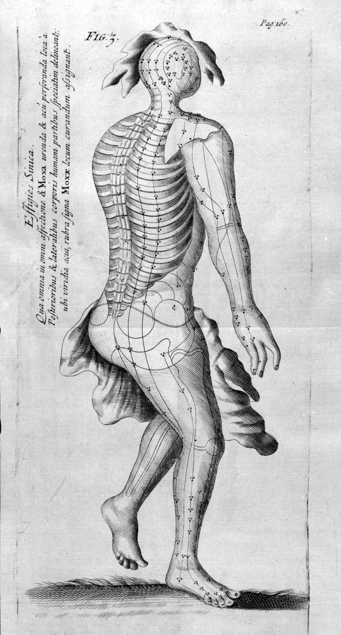De Acupunctura av W.Ten Rhijn. London 1683. Första västerländska text som handlar om akupunktur. av Unknown artist