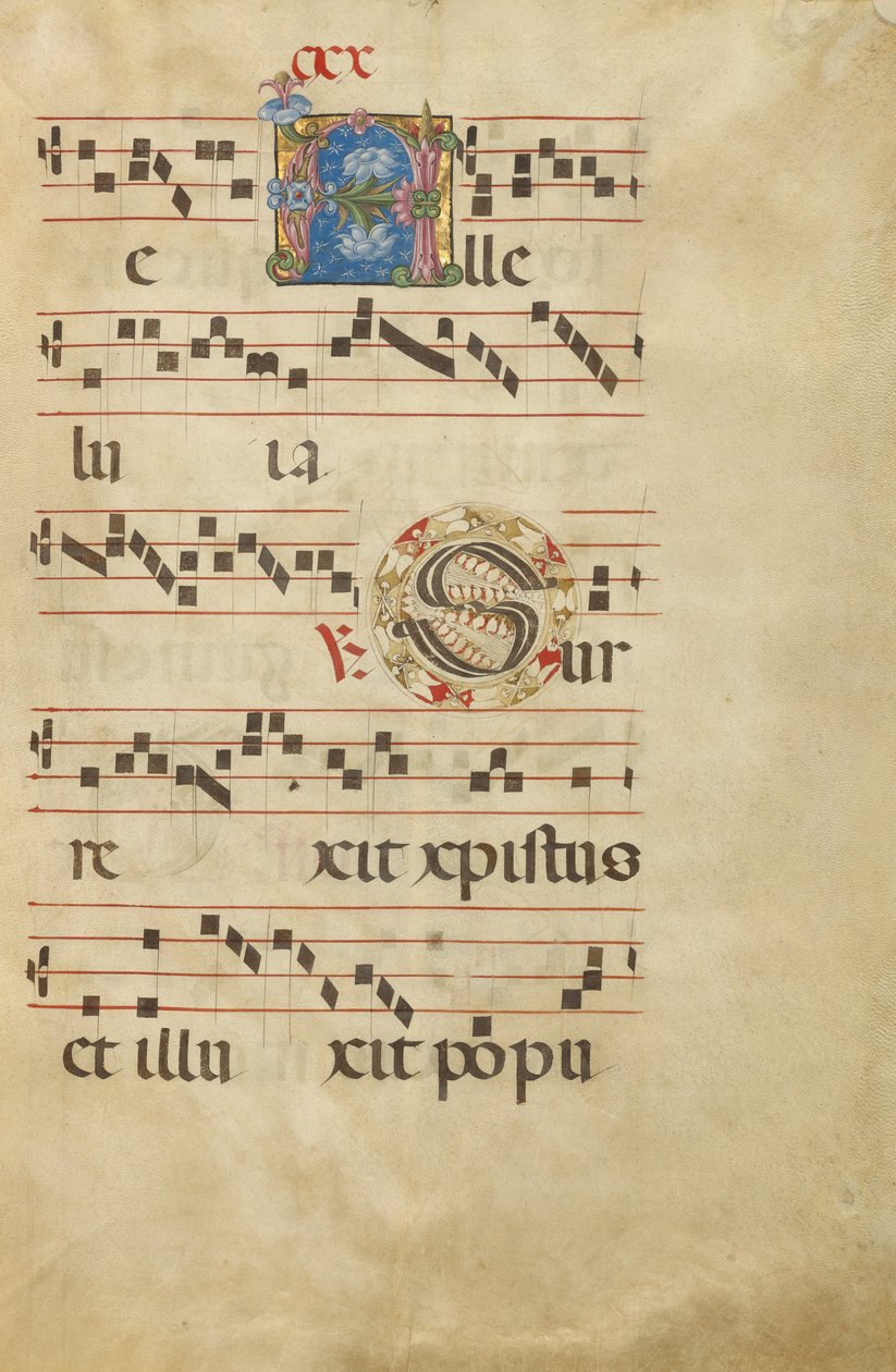 Dekorerad initial A; Dekorerad initial S av Unknown artist