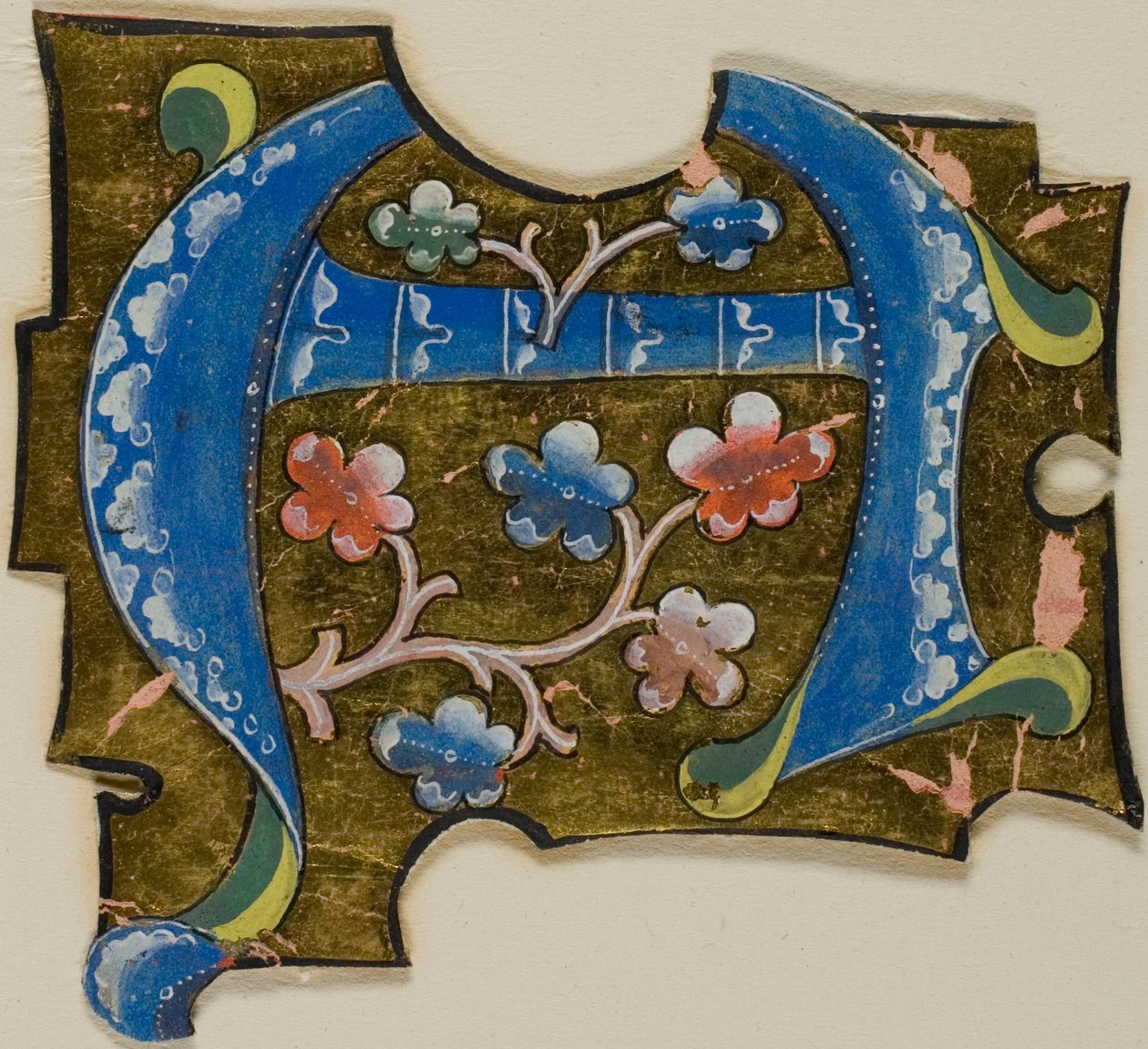 Dekorerad initial "A" i blått med blad från ett manuskript av Unknown artist