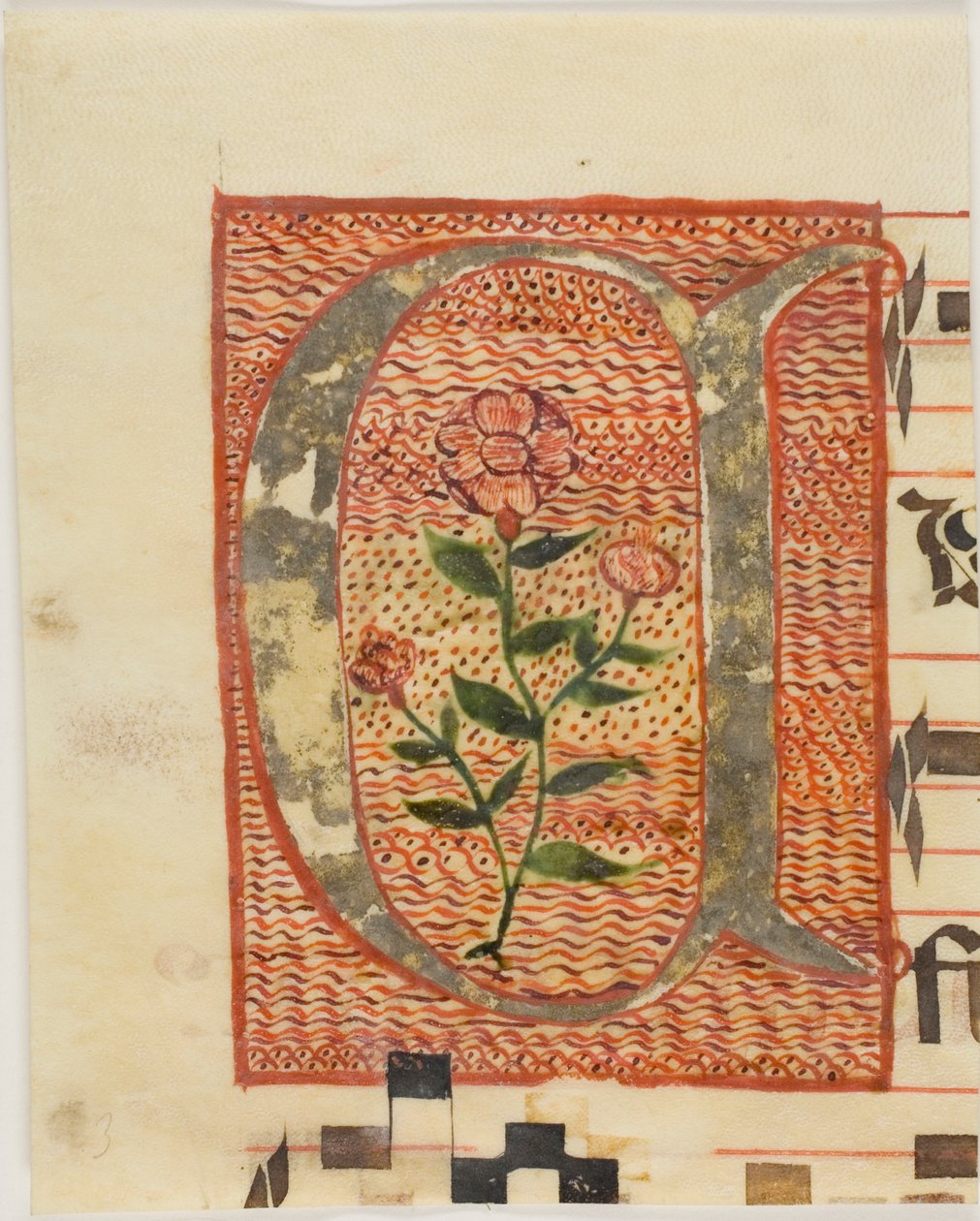 Dekorerad initial "A" med blomma från ett manuskript av Unknown artist
