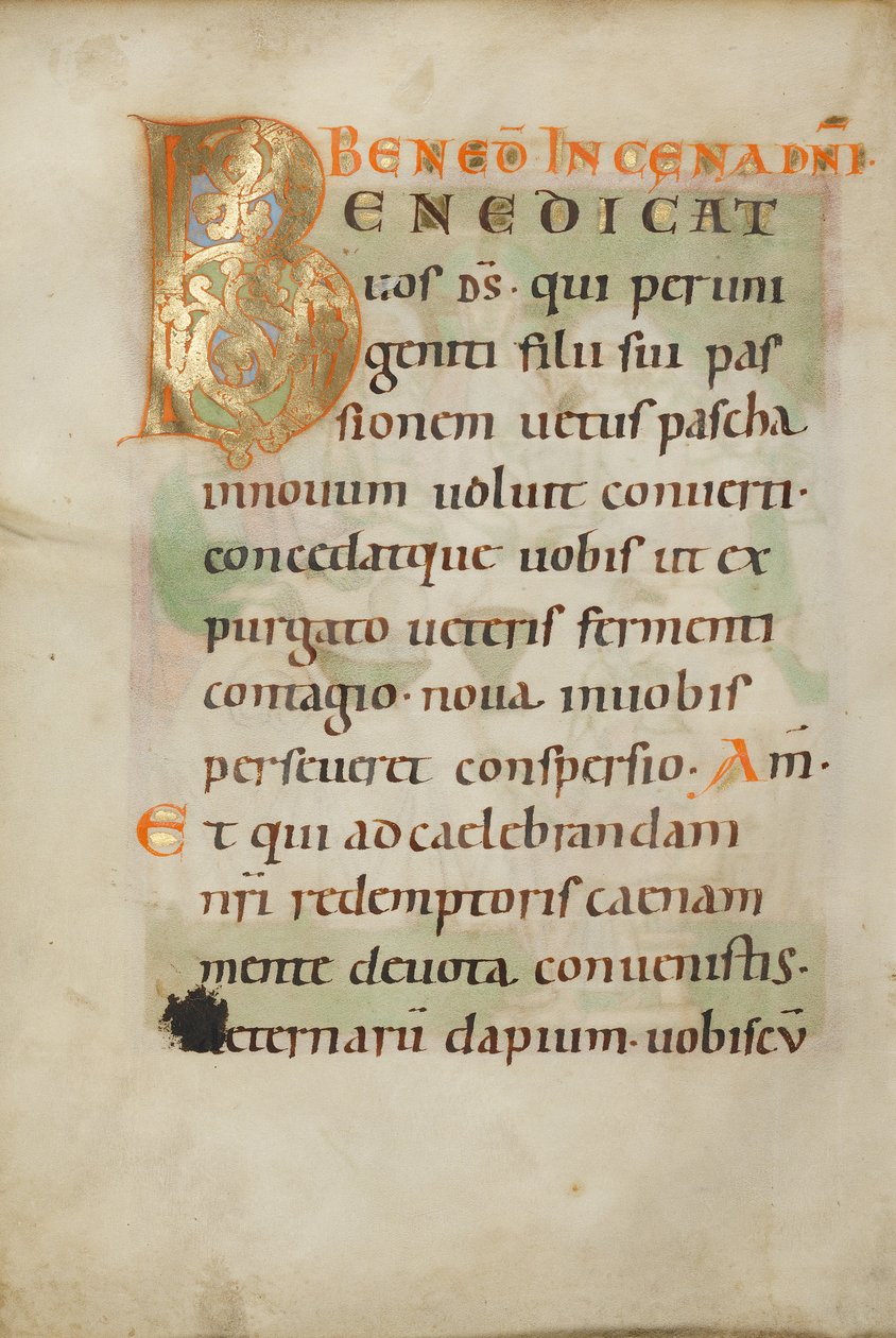 Dekorerad initial B av Unknown artist