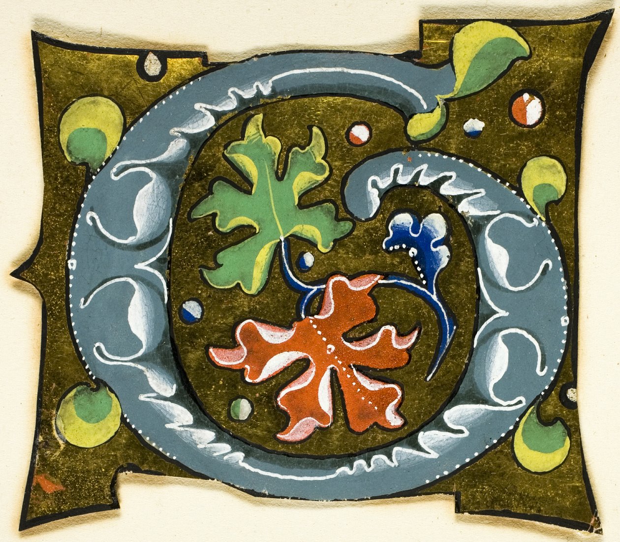 Dekorerad initial "G" i grått med röda, gröna och blå blad från ett manuskript av Unknown artist