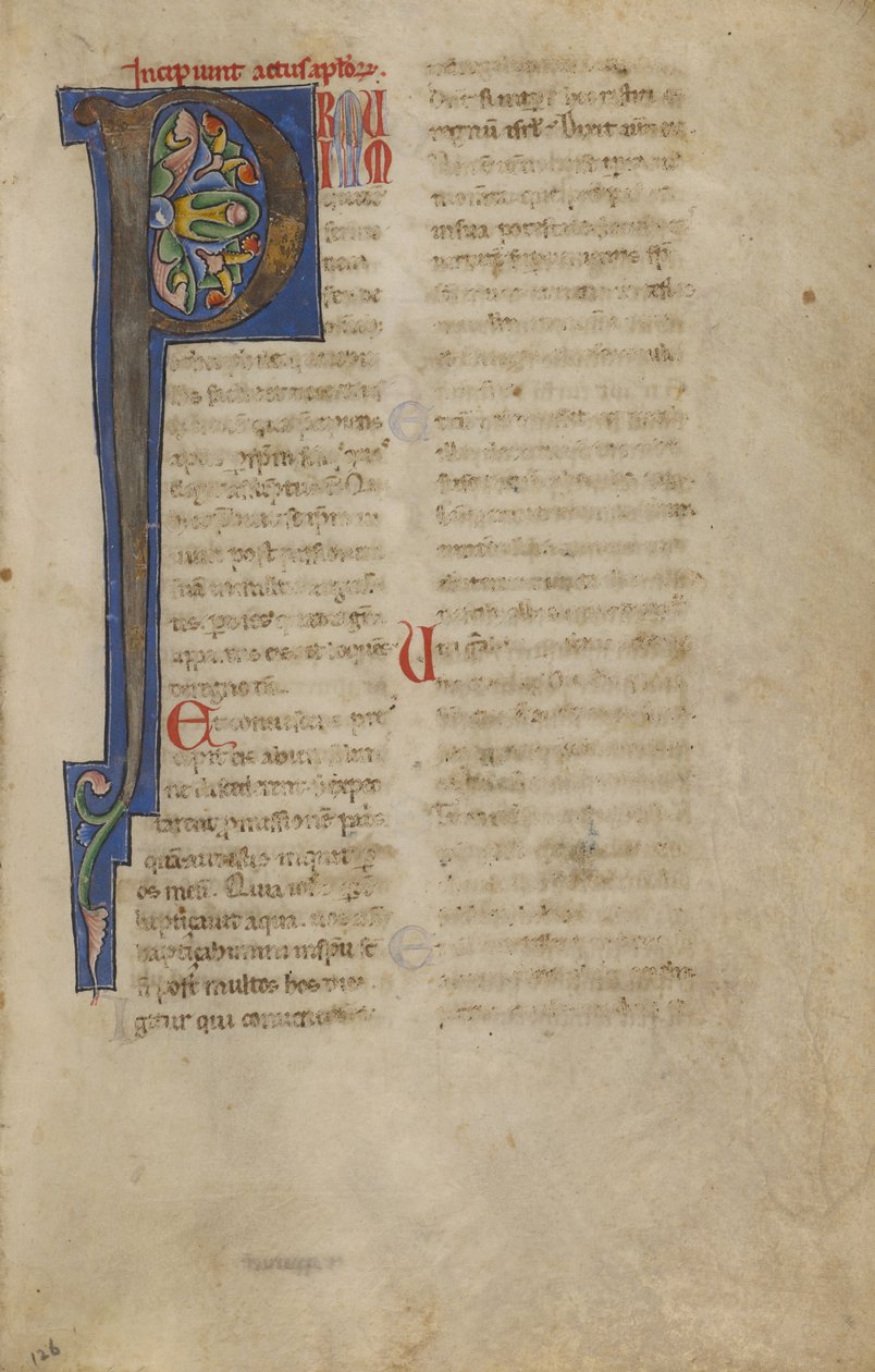 Dekorerad initial P av Unknown artist