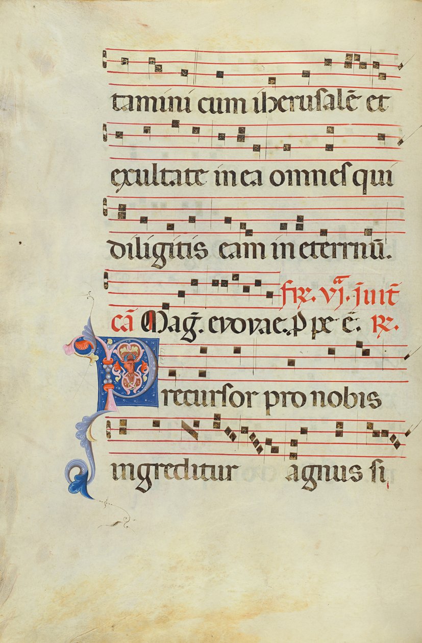 Dekorerad initial P av Unknown artist