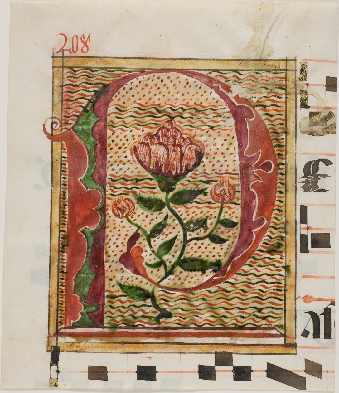 Dekorerad initial "P" med blommor från ett manuskript av Unknown artist