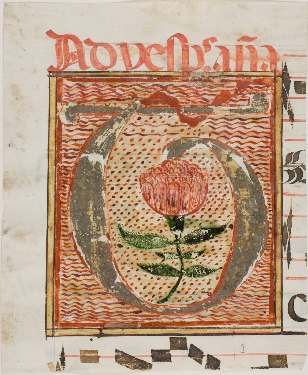 Dekorerad initial "T" med blomma från ett manuskript av Unknown artist