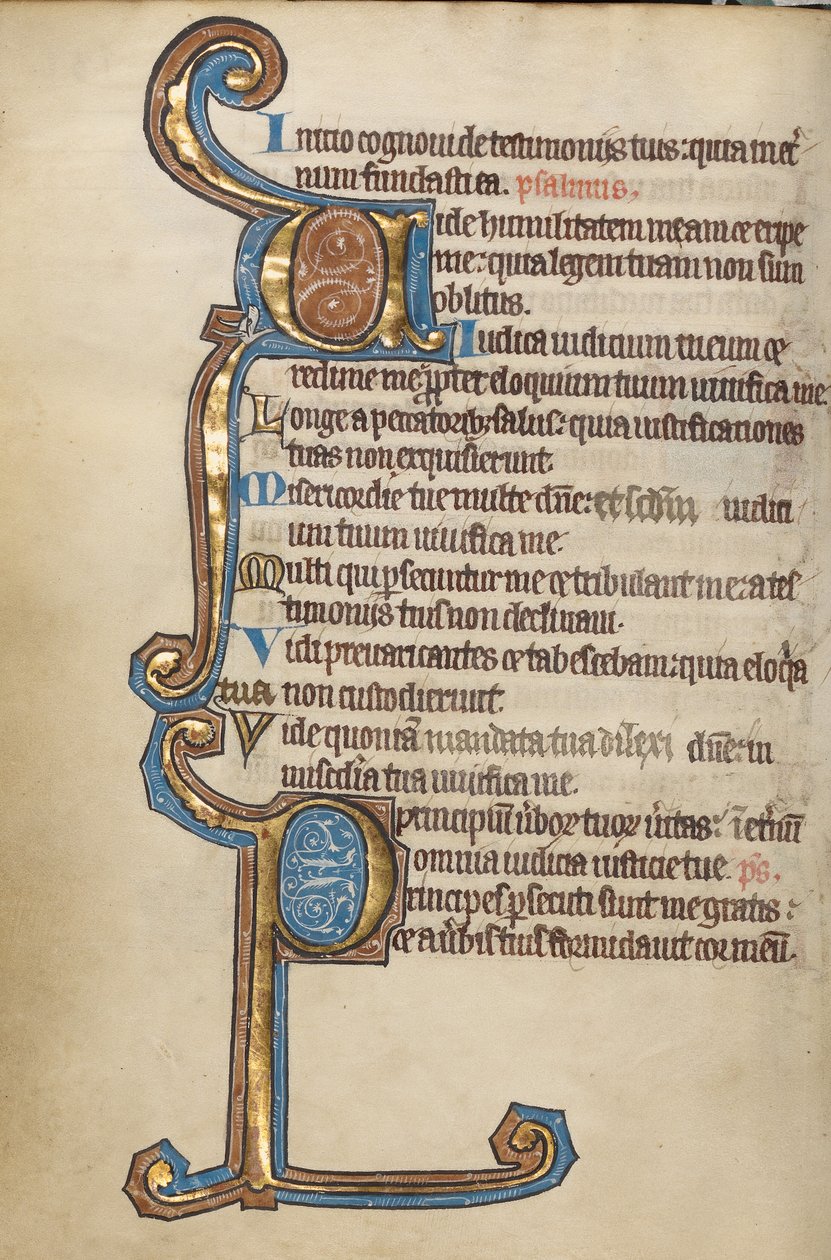 Dekorerad initial V; Dekorerad initial P av Unknown artist