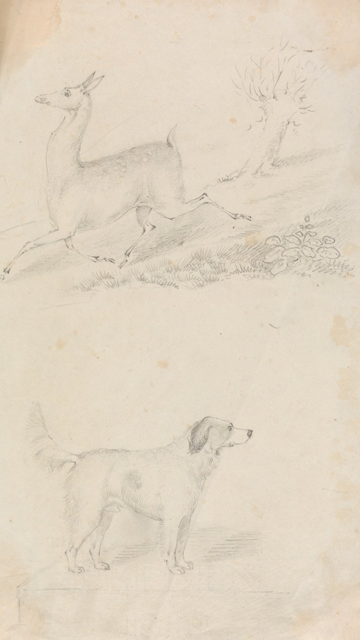 Rådjur och hund av Unknown artist