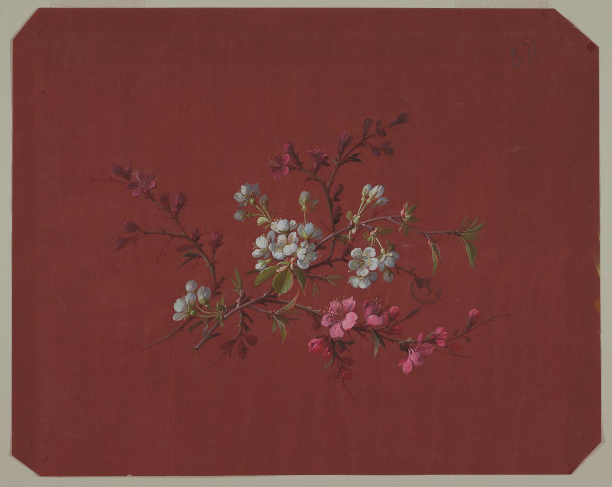 Design för tapeter och textilier: Blommor av Unknown artist