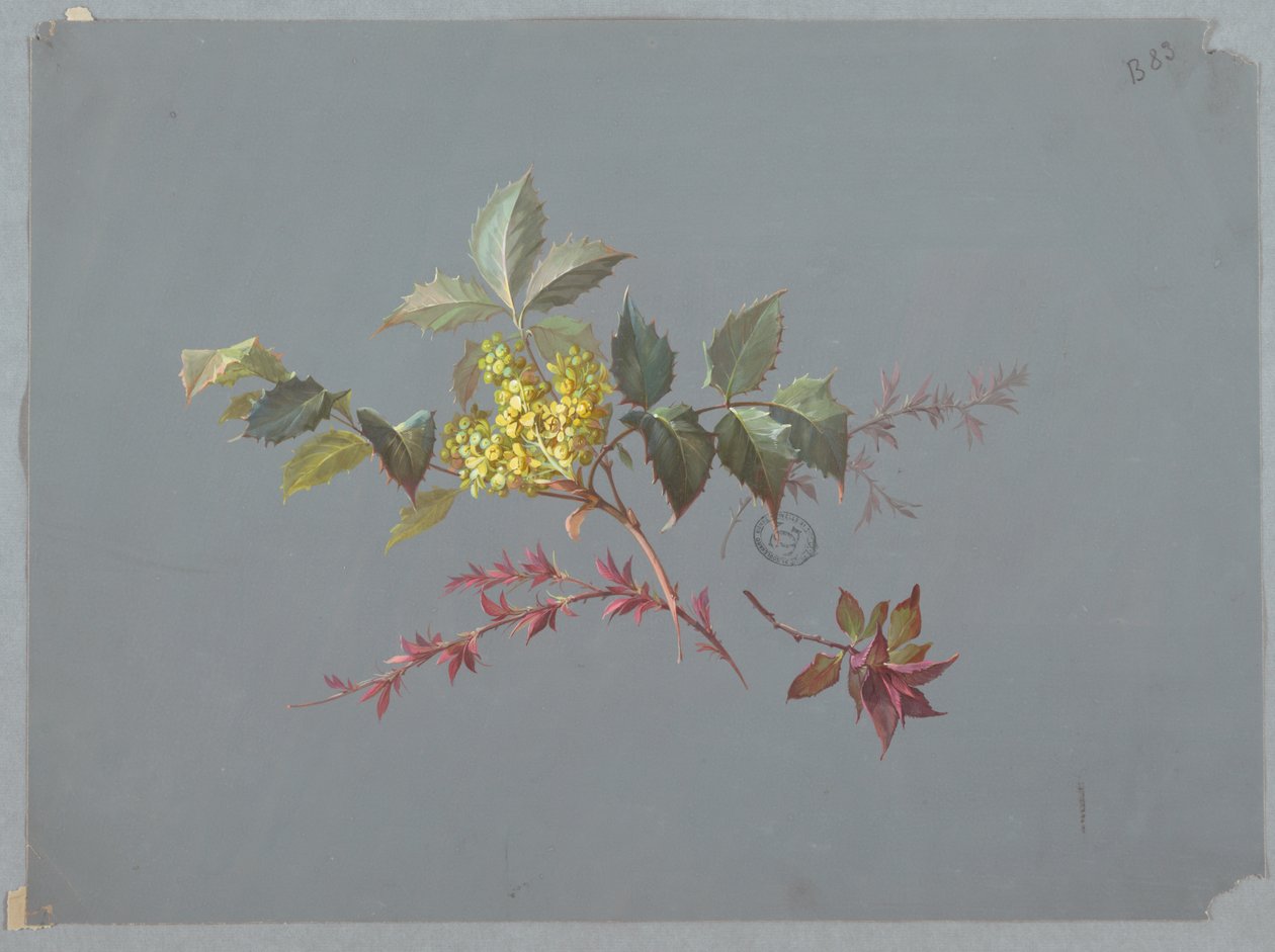 Design för tapeter och textilier: Blommor av Unknown artist