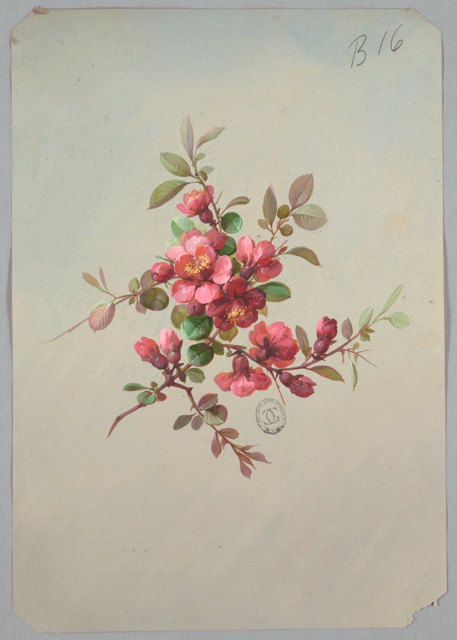Design för tapeter och textilier: Blommor av Unknown artist