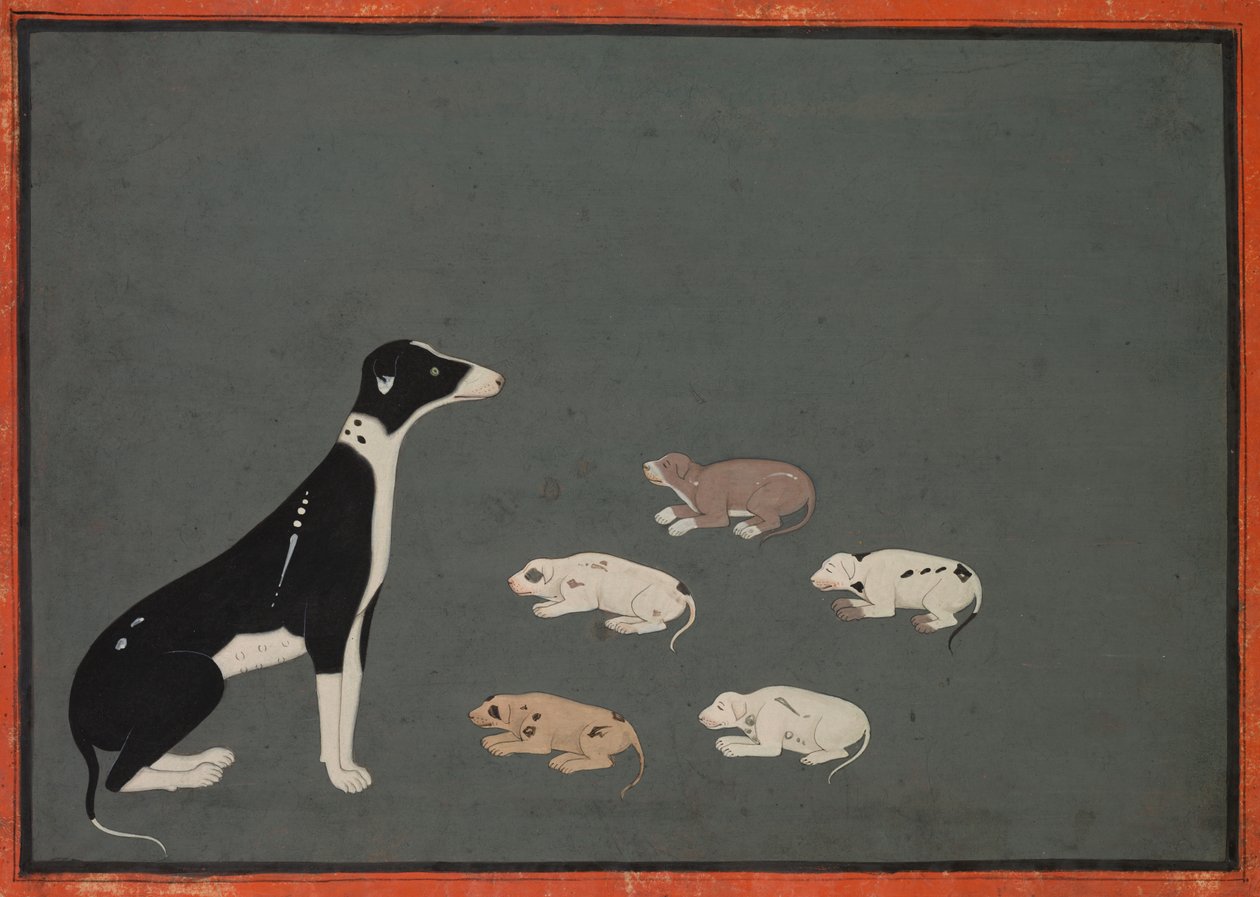 Hund med valpar av Unknown artist