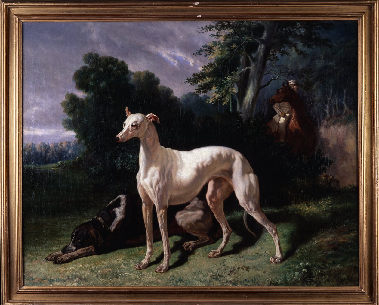 Hundar (Levary) - Målning, Olja på duk av Unknown artist