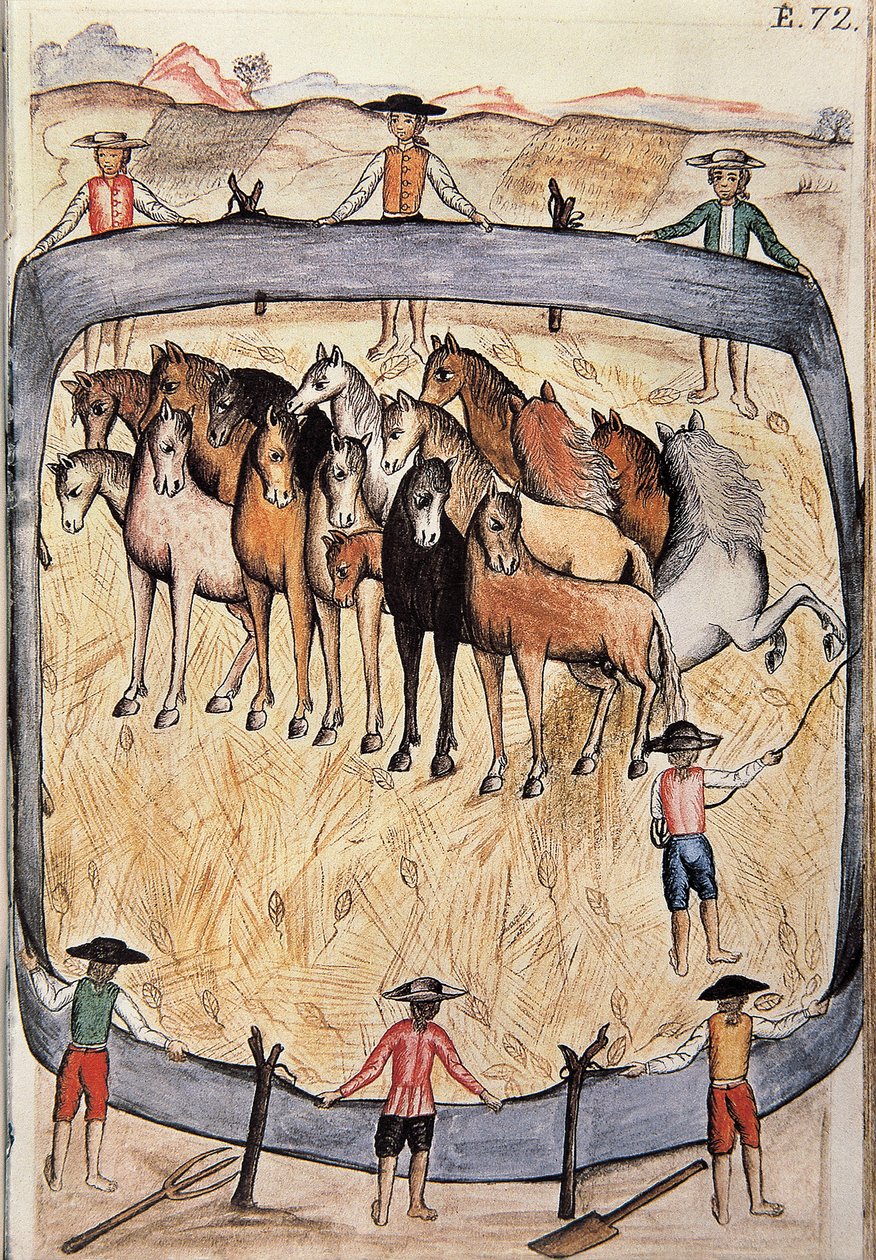 Dressyr av vilda hästar, från boken "Trujillo del Peru" eller "Codex Martinez Companion", av Baltazar Martinez Companion och Bujanda, biskop av Trujillo (1782-1785) av Unknown artist