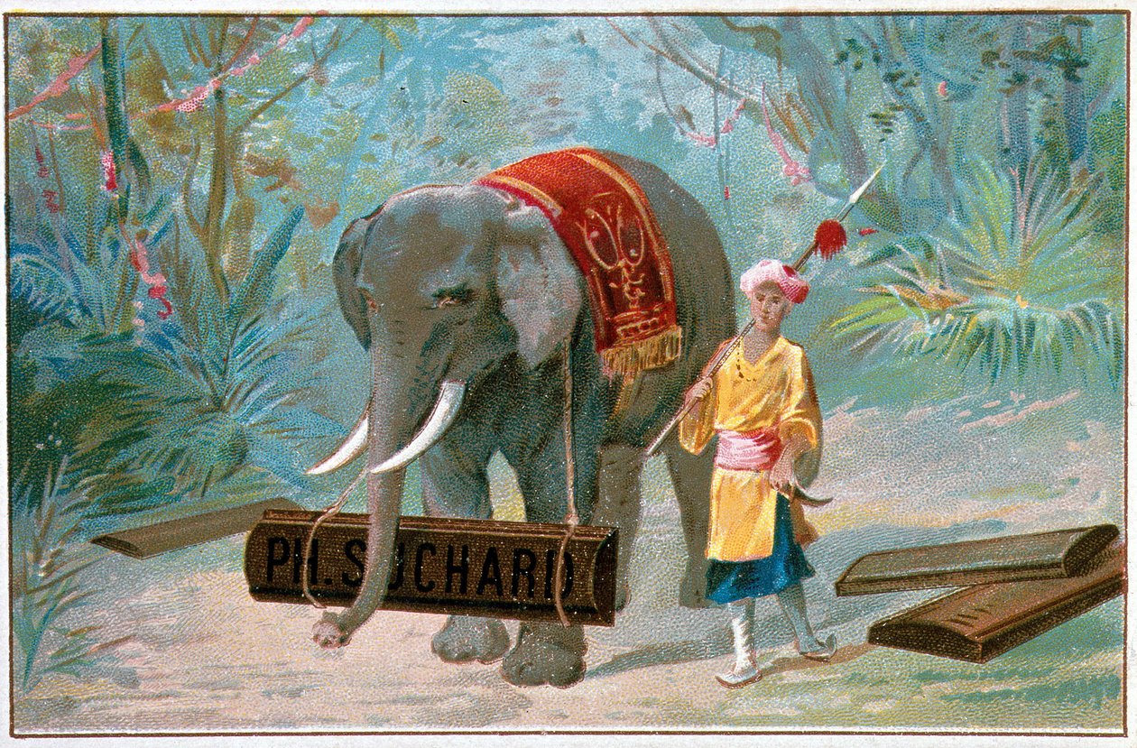 Elephant and Cornac, reklam för "" Suchard", v. 1895 av Unknown artist
