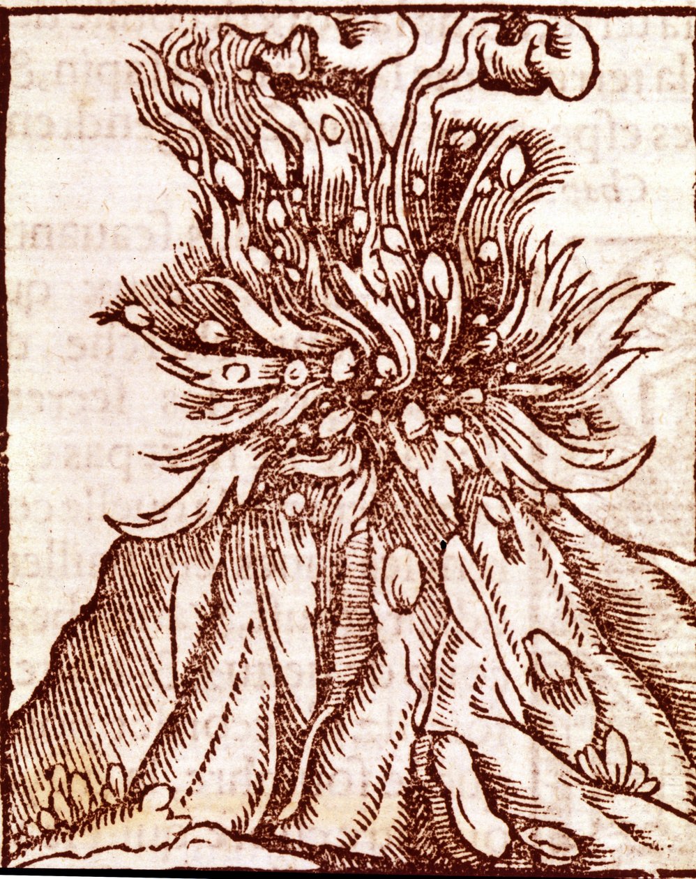 Utbrott av en vulkan. 1500-talsgravyr. av Unknown artist