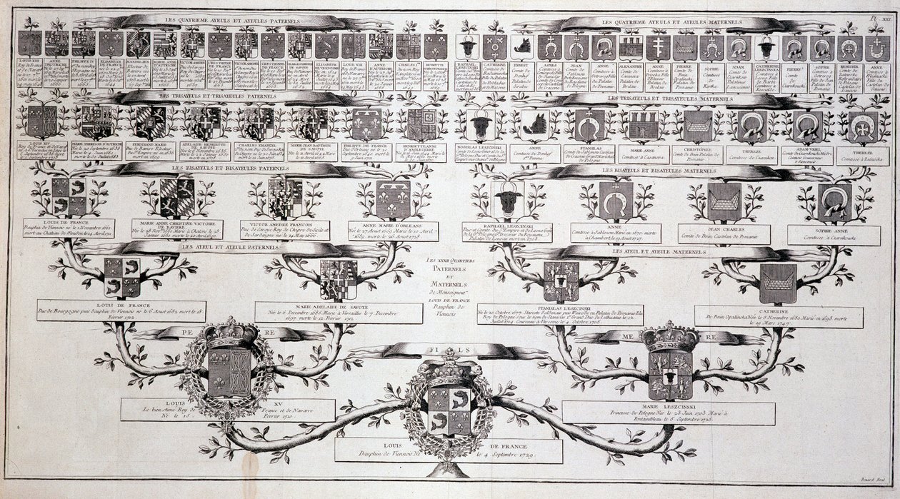 Släktträd för delfinen från Frankrike, son till Ludvig XV och Marie Leczcinski - i "" Encyclopedia"" av Diderot av Unknown artist