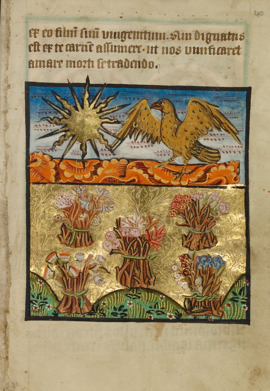 Fem buntar blommor av Unknown artist
