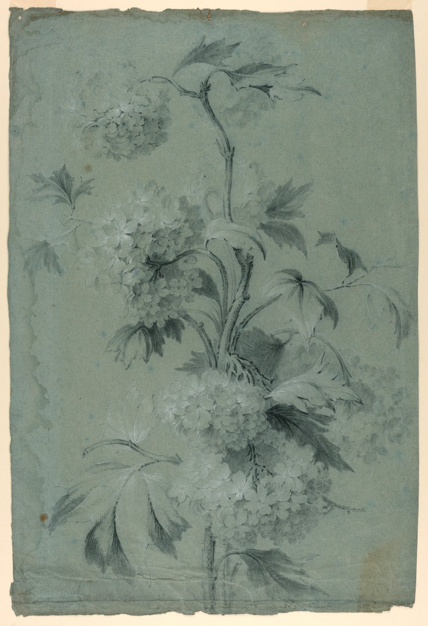 Blommig design av Unknown artist
