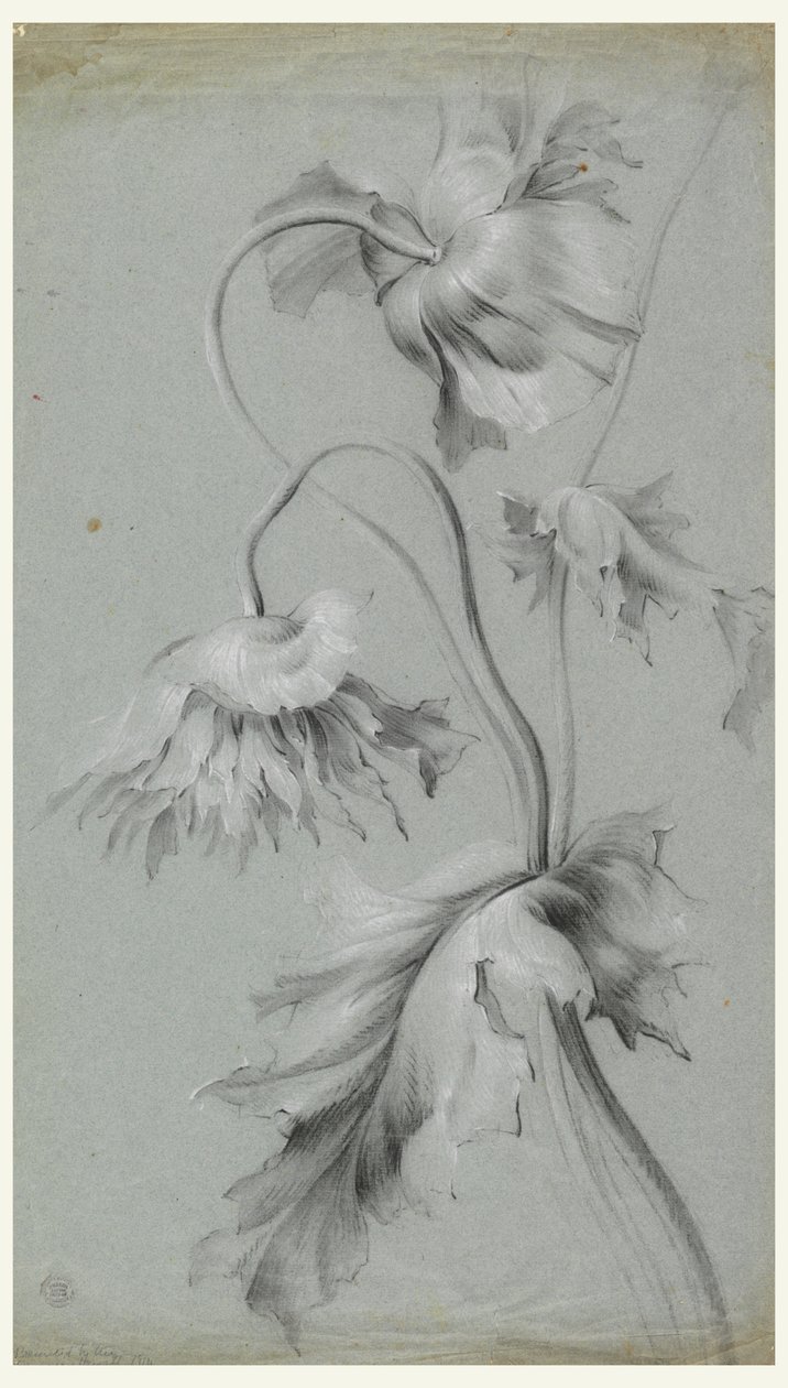 Blommig design av Unknown artist