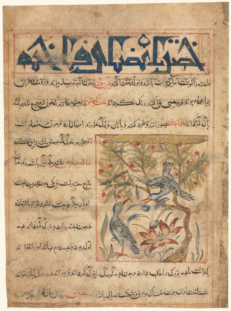 Folio från en persisk Manafi‘ al-Hayawan (Djurens fördelar) av Abu Said Ubaid-Allah ibn Jibrail ibn Bakhtishu (död 1058–68) (höger) av Unknown artist