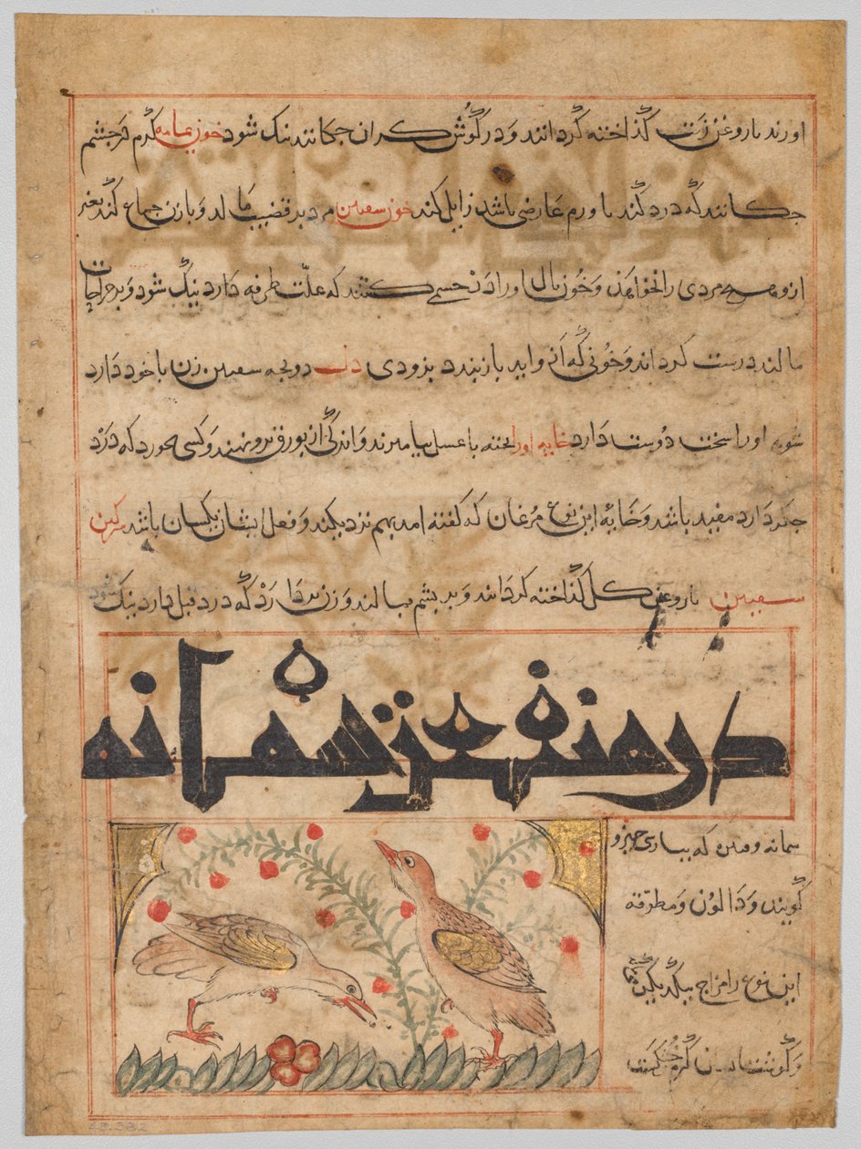 Folio från en persisk Manafi‘ al-Hayawan (Fördelarna med djur) från Abu Said Ubaid-Allah ibn Jibrail ibn Bakhtishu (död 1058–68) (verso) av Unknown artist