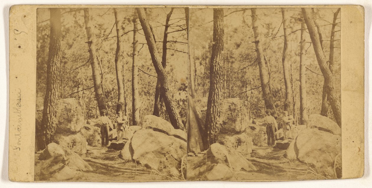[Fontainebleau] av Unknown artist